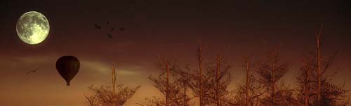 Deep Forest por Delphine, no Flickr, em CC Deep Forest por Delphine, no Flickr, em CC