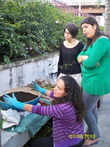 Ivy Ramalho ensina como plantar